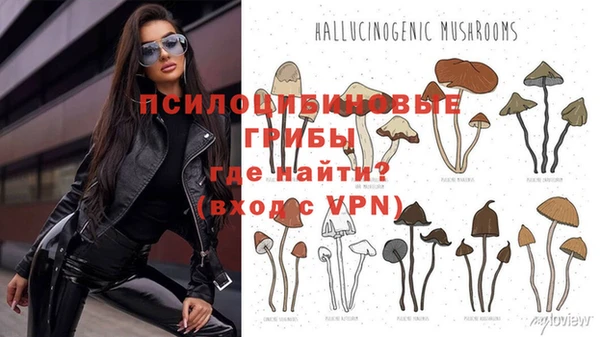 героин Няндома